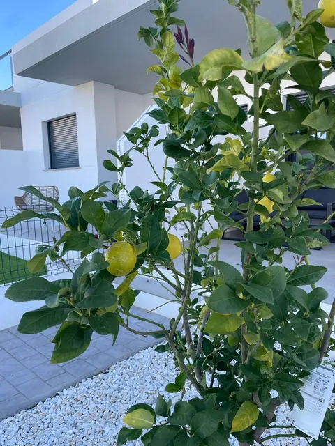 Casa de 63 m² a el Verger