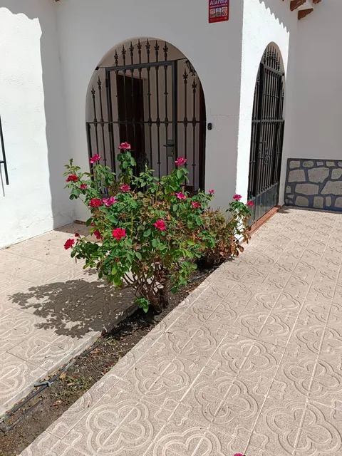 Maison 200 m² à Burujón