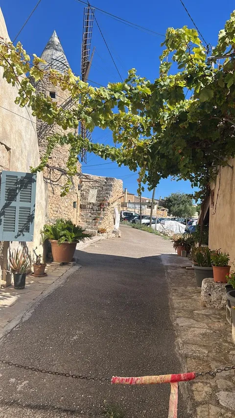 Stanza in affitto, Sineu