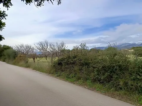 Stanza in affitto, Campanet