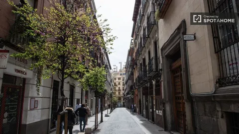 Habitació de lloguer, Madrid