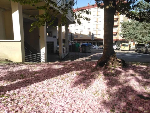 Appartamento 100 m² a Arrasate / Mondragón