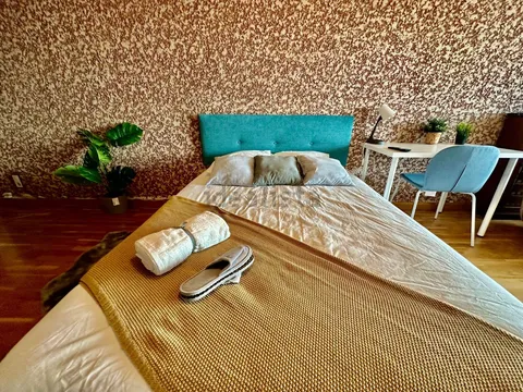 Habitació de lloguer, Saragossa