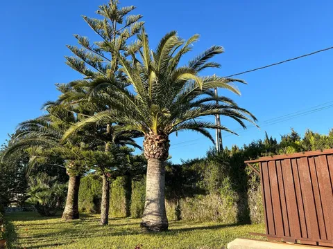 Casa de 200 m² en Montuïri