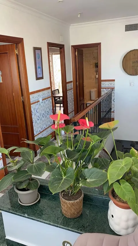 Room for rent, Chiclana de la Frontera (3/13)
