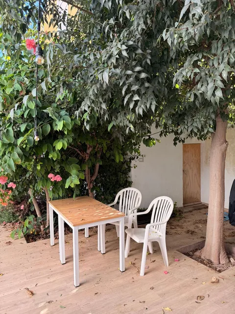 Stanza in affitto, Palma