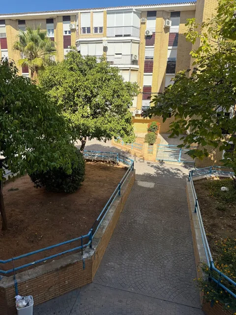 Chambre à louer, Mairena del Aljarafe