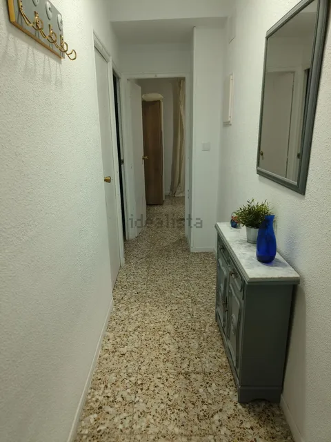 Habitació de lloguer, Elx