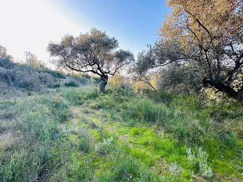 Appartamento 25 m² a Tortosa