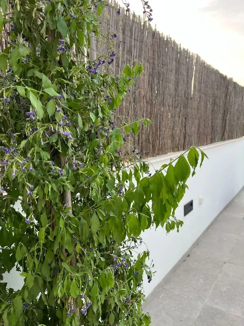 Appartamento 64 m² a Sant Josep de sa Talaia