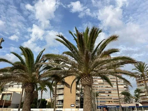 Pis de 63 m² a Alacant