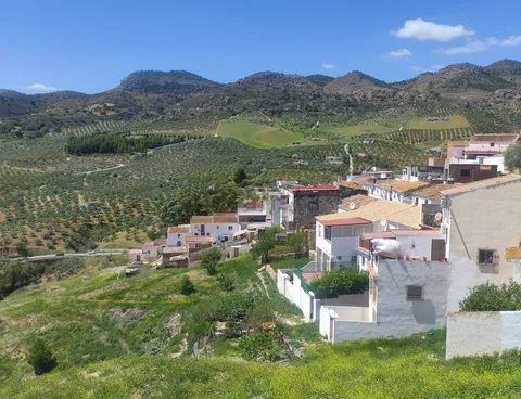 Habitació de lloguer, Álora