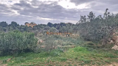 Casa de 350 m² a Felanitx