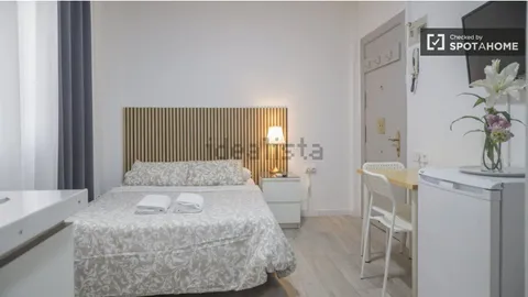 Wohnung 19 m² in Madrid (2/15)