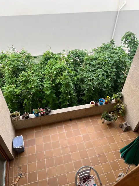 Room for rent, Vigo (2/37)