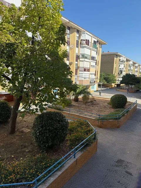 Habitació de lloguer, Mairena del Aljarafe (2/4)