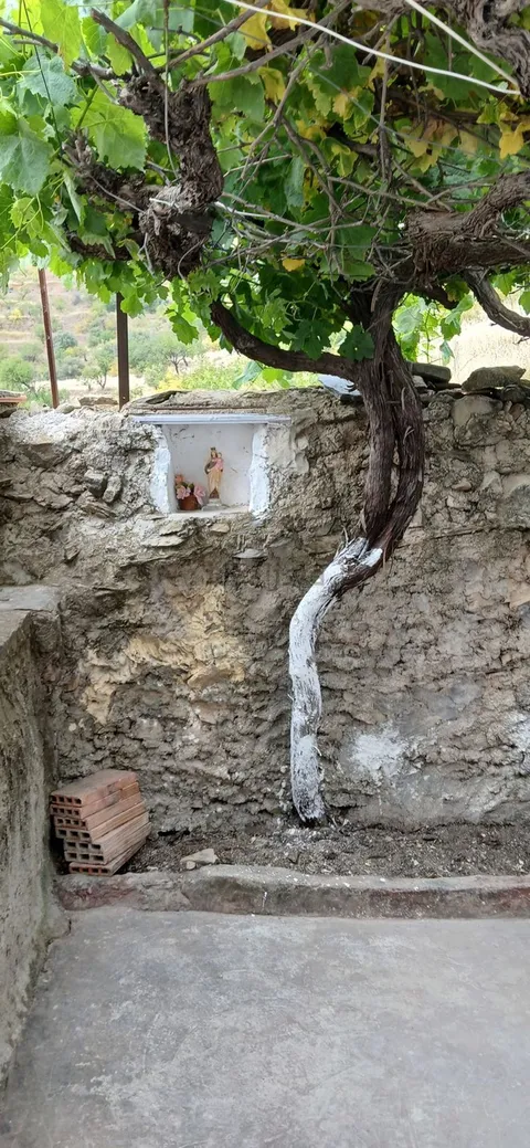 Casa de 35 m² a Benitagla