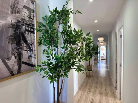 Zimmer zur Miete, Valencia