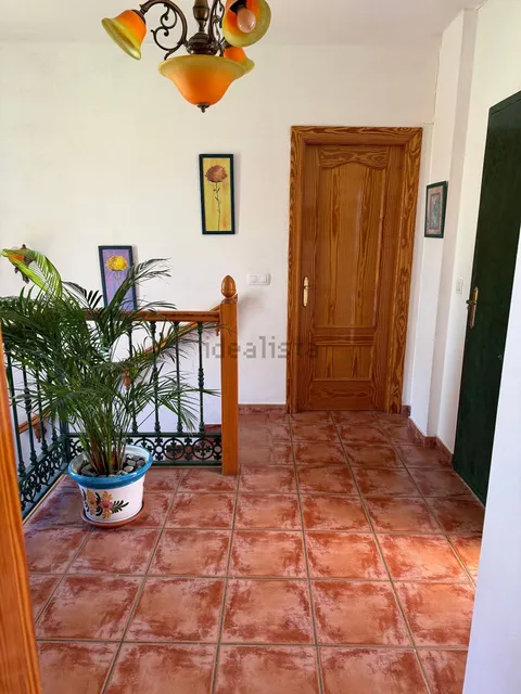 Stanza in affitto, Málaga