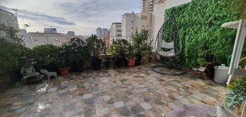 Habitació de lloguer, Palma