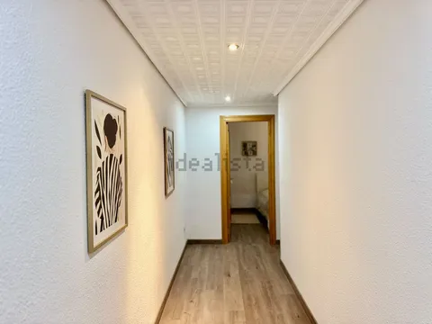 Habitació de lloguer, Elx