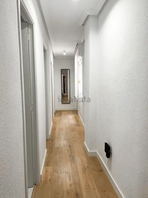 Habitació de lloguer, Elx