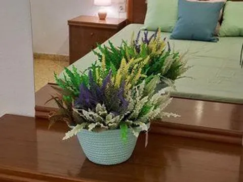 Комната в аренду, Валенсия