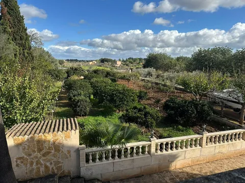 Pis de 614 m² a Sencelles