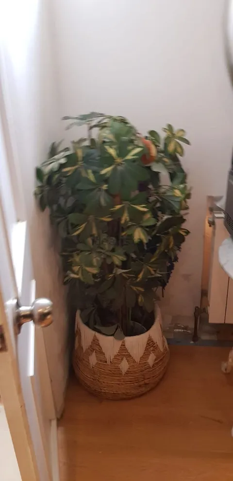 Appartamento 39 m² a Marbella