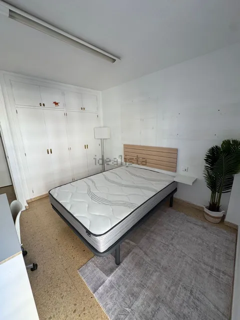Habitació de lloguer, Palma