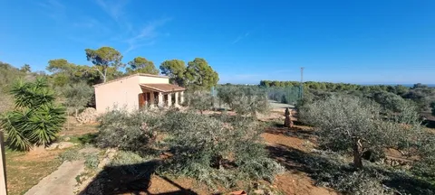 Appartement 900 m² à Felanitx