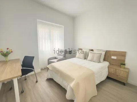 Habitació de lloguer, Elx