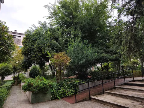 Habitació de lloguer, Granada