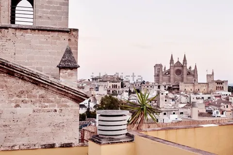 Stanza in affitto, Palma
