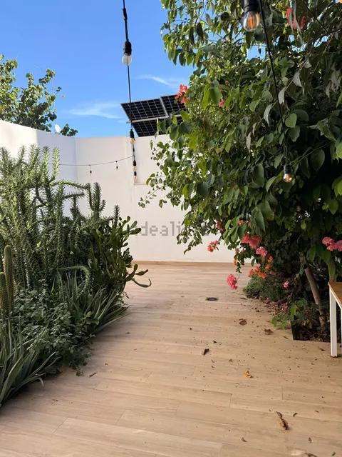 Stanza in affitto, Palma