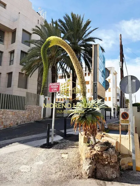 Pis de 40 m² a Xàbia