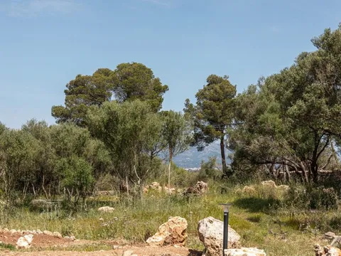 Casa 300 m² a Sencelles