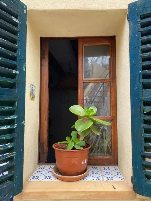 Stanza in affitto, Selva