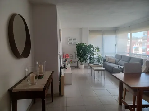 Stanza in affitto, Palma