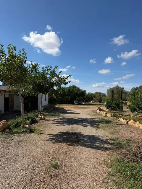Pis de 40 m² a Llucmajor