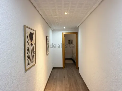 Habitació de lloguer, Elx