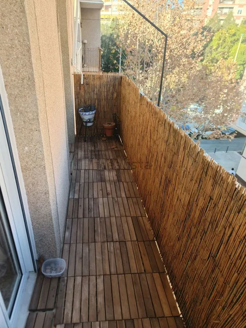 Habitació de lloguer, Elx