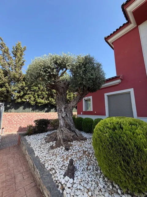 Casa 600 m² a Elx / Elche