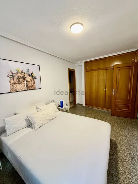 Habitació de lloguer, Alacant