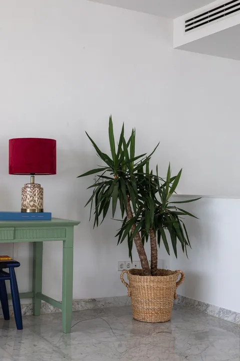 Casa de 436 m² a Llucmajor