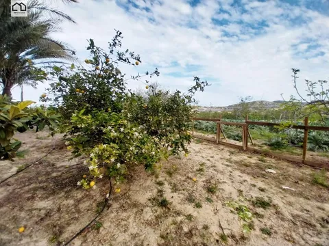 Casa de 495 m² a Múrcia