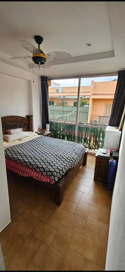 Habitació de lloguer, Palma