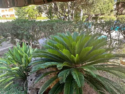 Pis de 180 m² a Santa Margalida