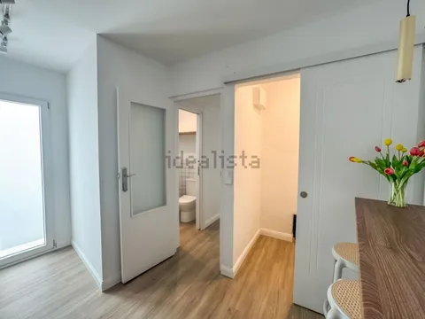 Habitació de lloguer, Elx