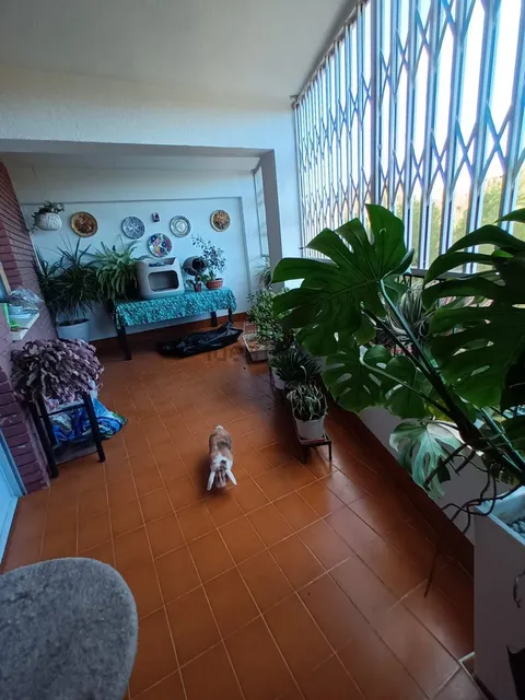 Habitació de lloguer, Burjassot